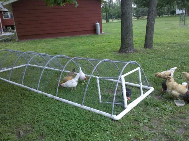 chicken coop ideas on Pinterest | Chicken Tractors, Chicken Coops and 