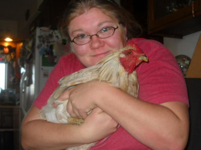 Chicken Broken Leg