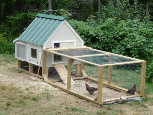 Here is the coop. It's the medium size from Roots Coops and More . We 
