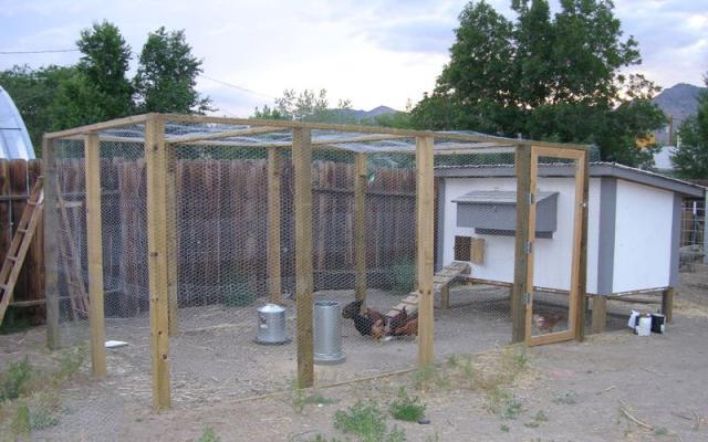 yes i used this design but expanded it to 4x8 since i have 10 chickens ...