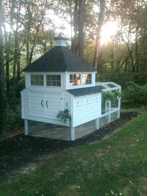 DIY Chicken Coops | UT Market Garden Project