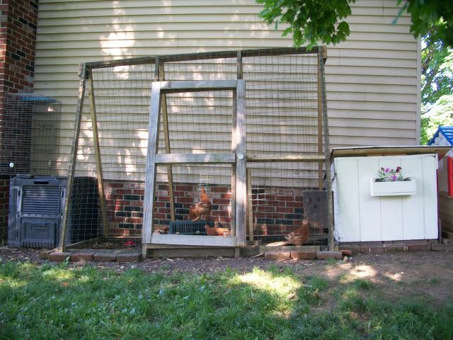 Chicken Coops for 6 Chickens