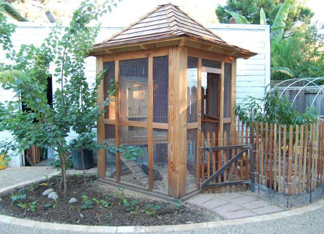 California Chicken Coop - Plans / Drawings Included - BackYard 