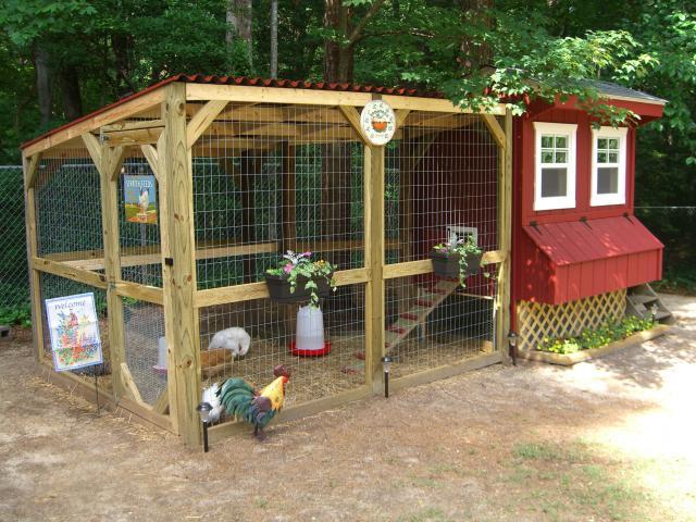 chicken coop dozen chicken that size this construction six i