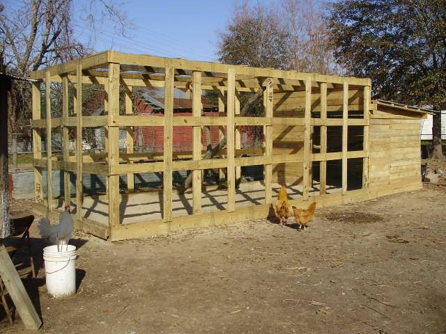 DIY Chicken Co-op From Pallets