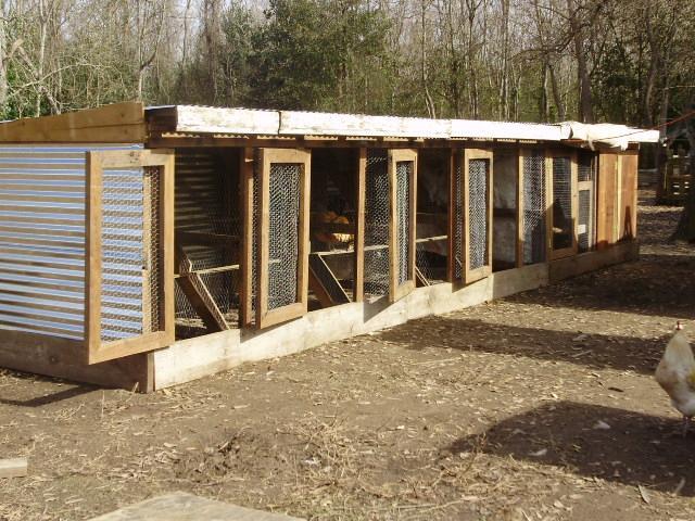 Chicken Breeding Pens