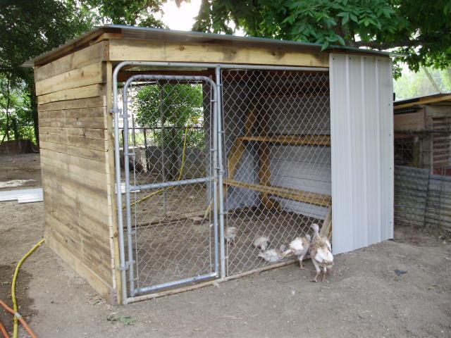 Dog kennel coop- how to make door area predator proof?