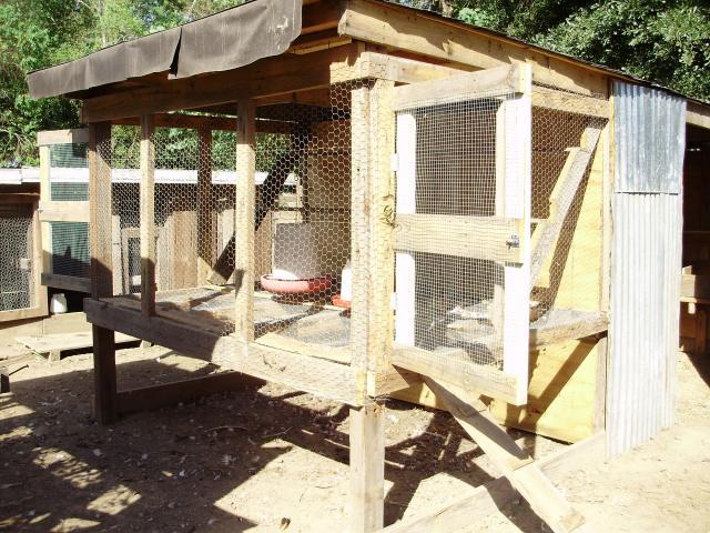 Chicken Coops Made From Wood Pallets