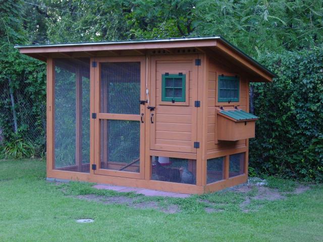 Backyard Chicken Coops