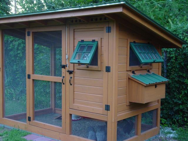 Wichita Cabin Coop - BackYard Chickens Community