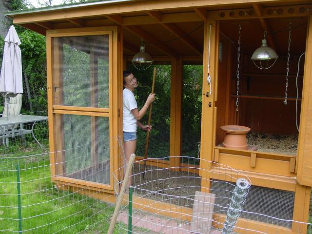 Backyard Chicken Coop Plastic | Chicken Coop Designs