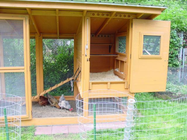 Wichita Cabin Coop - BackYard Chickens Community