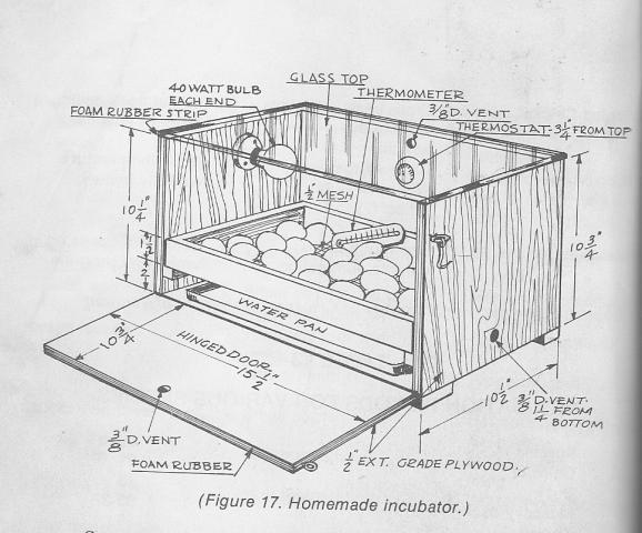 Homemade Egg Incubator Plans