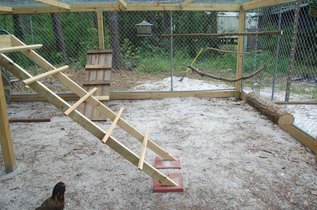 Complete Chicken coop ramp ideas | just build coop by self