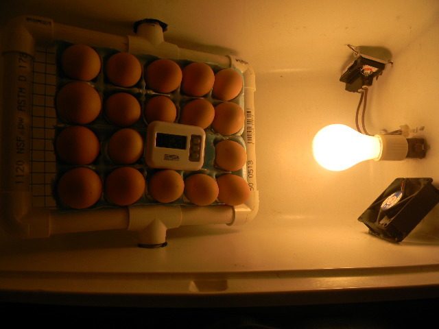 Automatic Egg Incubator And