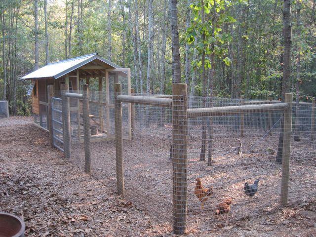 Hcarlsonlewis's Chicken Coop - BackYard Chickens Community