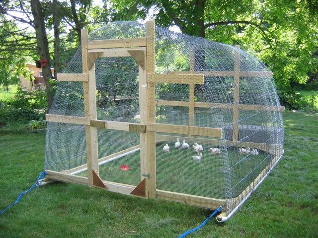  Plant Shelters on Pinterest | Chicken Tractors, Duck House and Coops