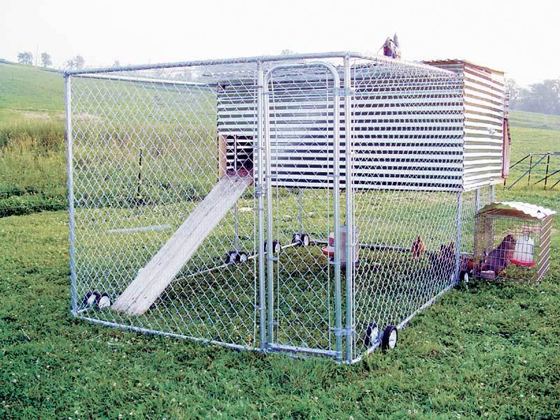 kennel coop, needs a 'house'