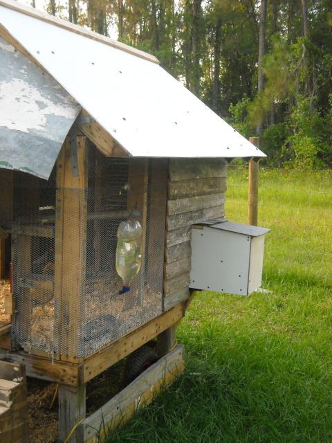 Crossgirl's Chicken Coop - BackYard Chickens Community