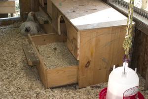  some of Chicken Coop Nesting Boxes Quot How Build Box Youtube pictures