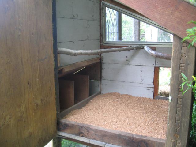 Small Chicken Coop Interior Chicken Coop Ideas Design