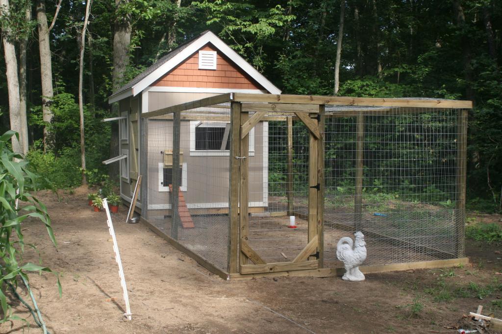 Ace Coop - Progress Pictures Included! - BackYard Chickens Community