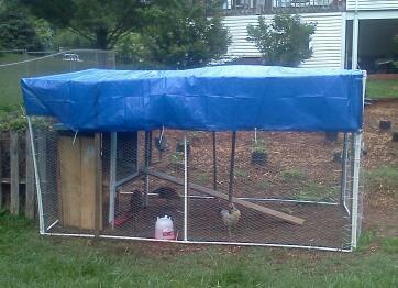 Building a PVC Chicken Co-op