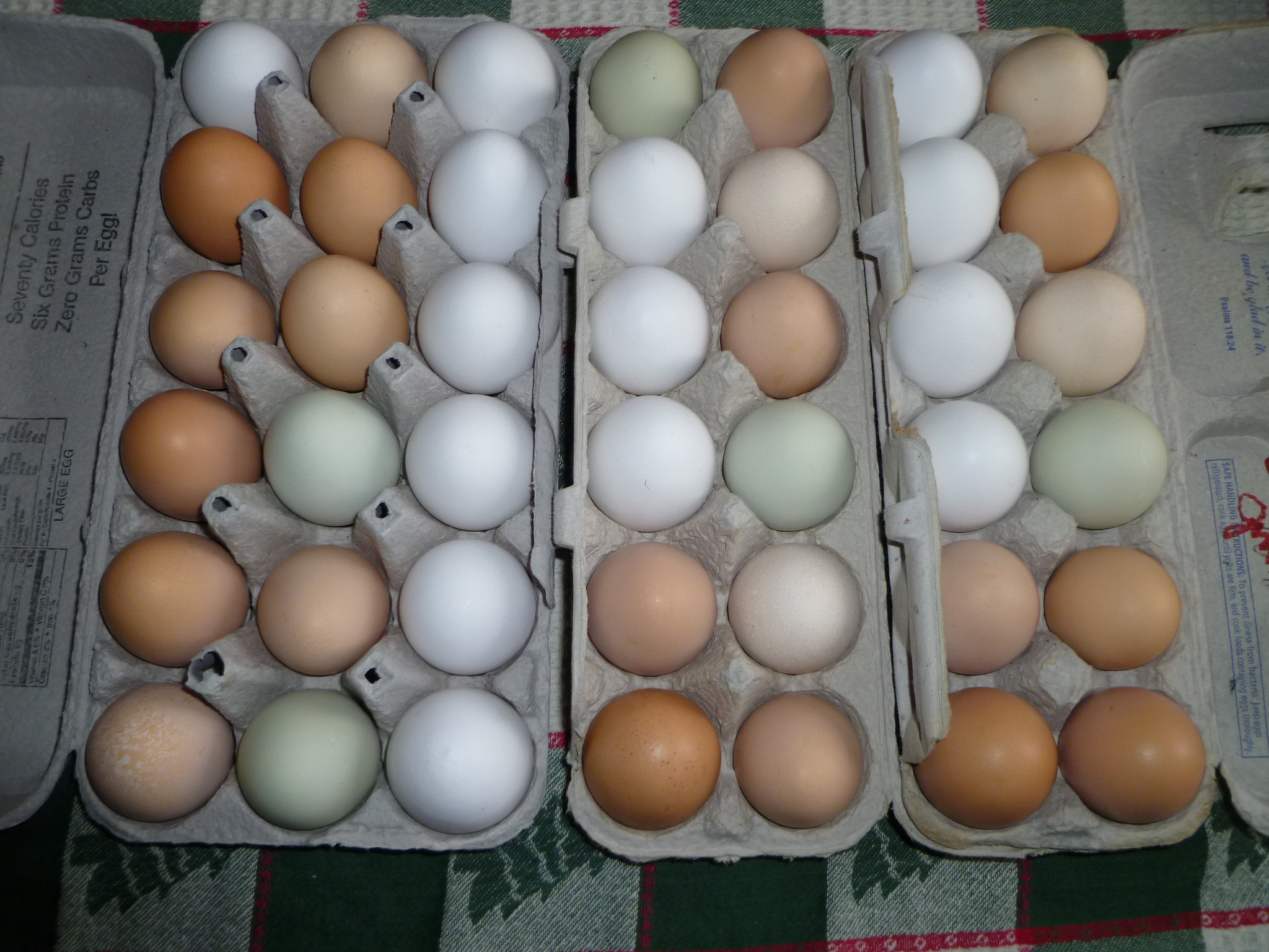 3 1/2 dozen worth of eggs