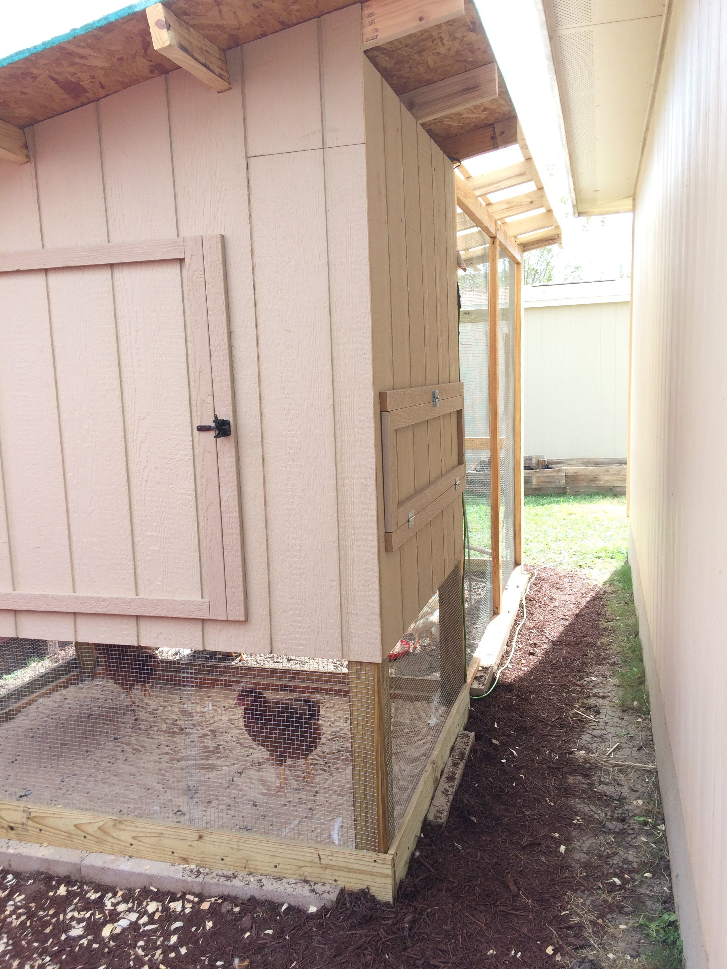 Back View - Big Door for cleaning and small door for collecting eggs. 2 curious hens under the hen house in the sand pit.