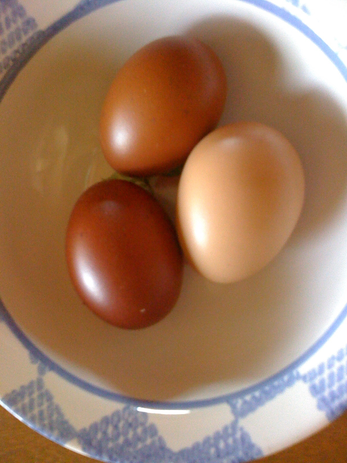 BCM eggs