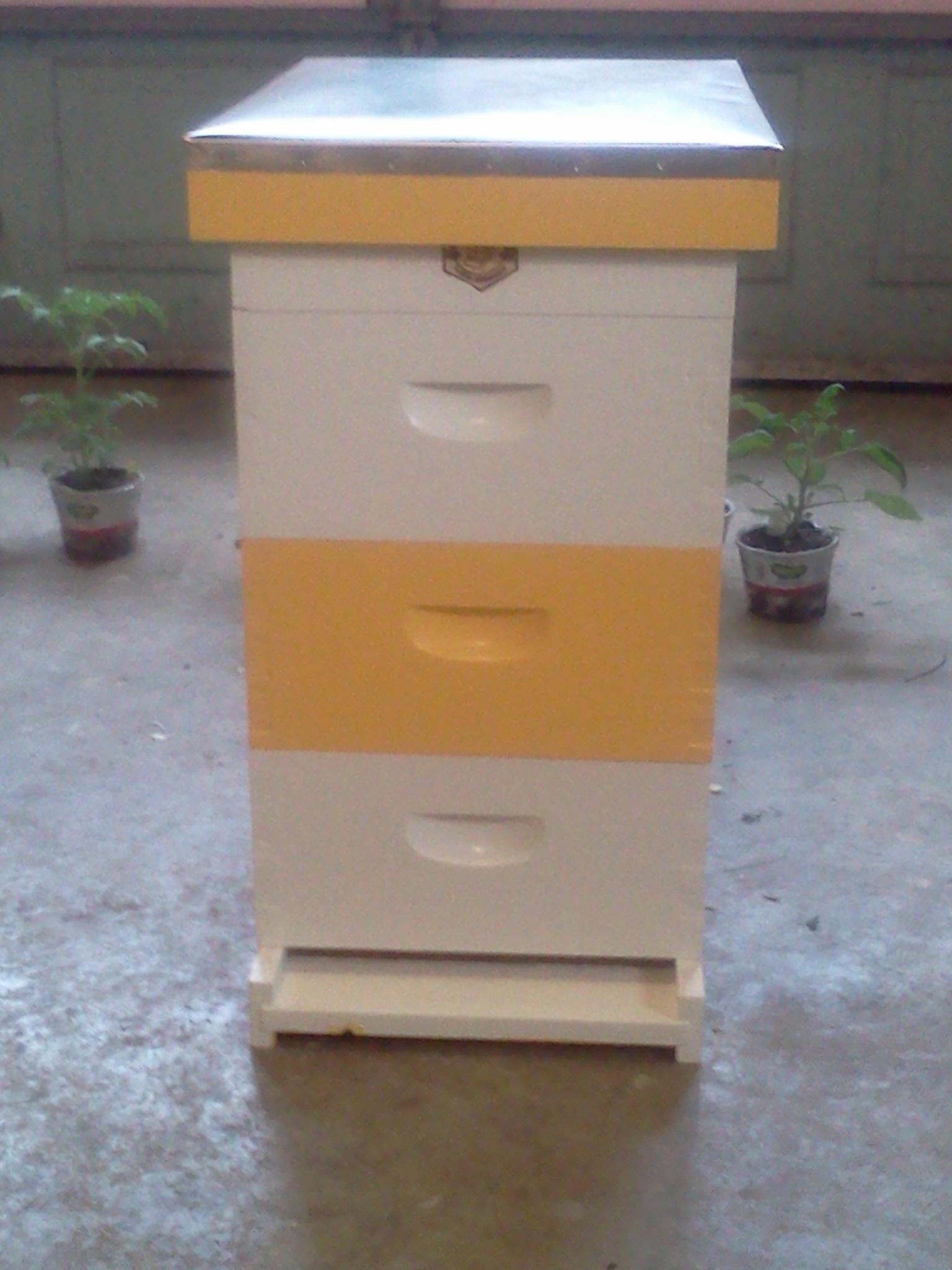 Beez New hives