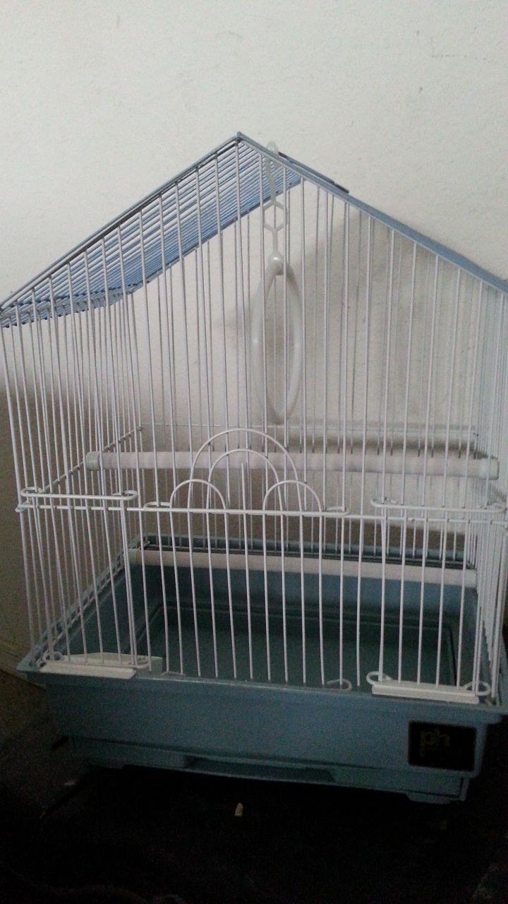 Bird cage w/ two perches, two bowl and ring. 
Pan slides out and everything is removable. 
Used a latch hatch chick for 48 hrs. 
$10