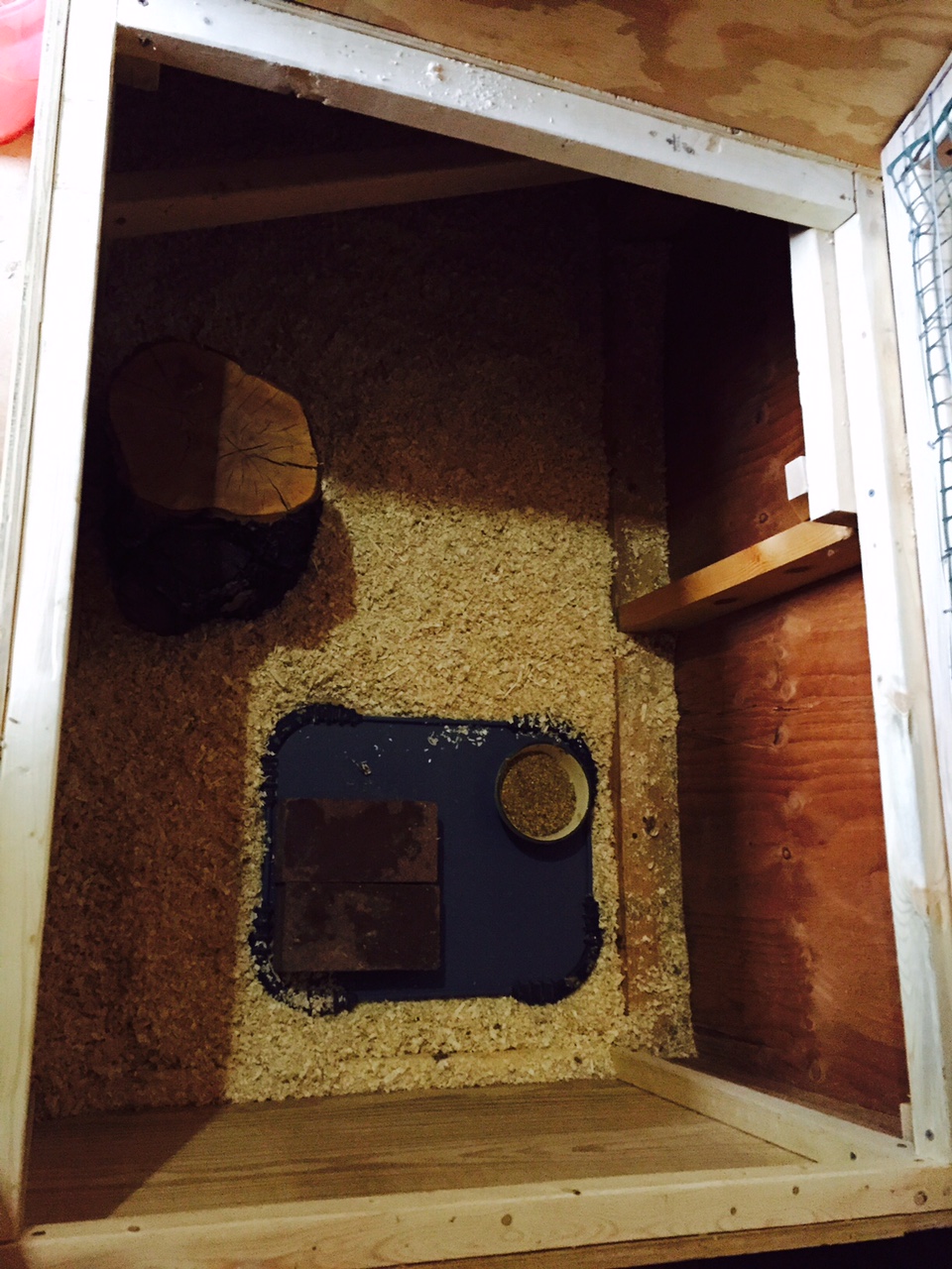 Brooder space, looking down through the top.  Space extends under the nest box to the coop.