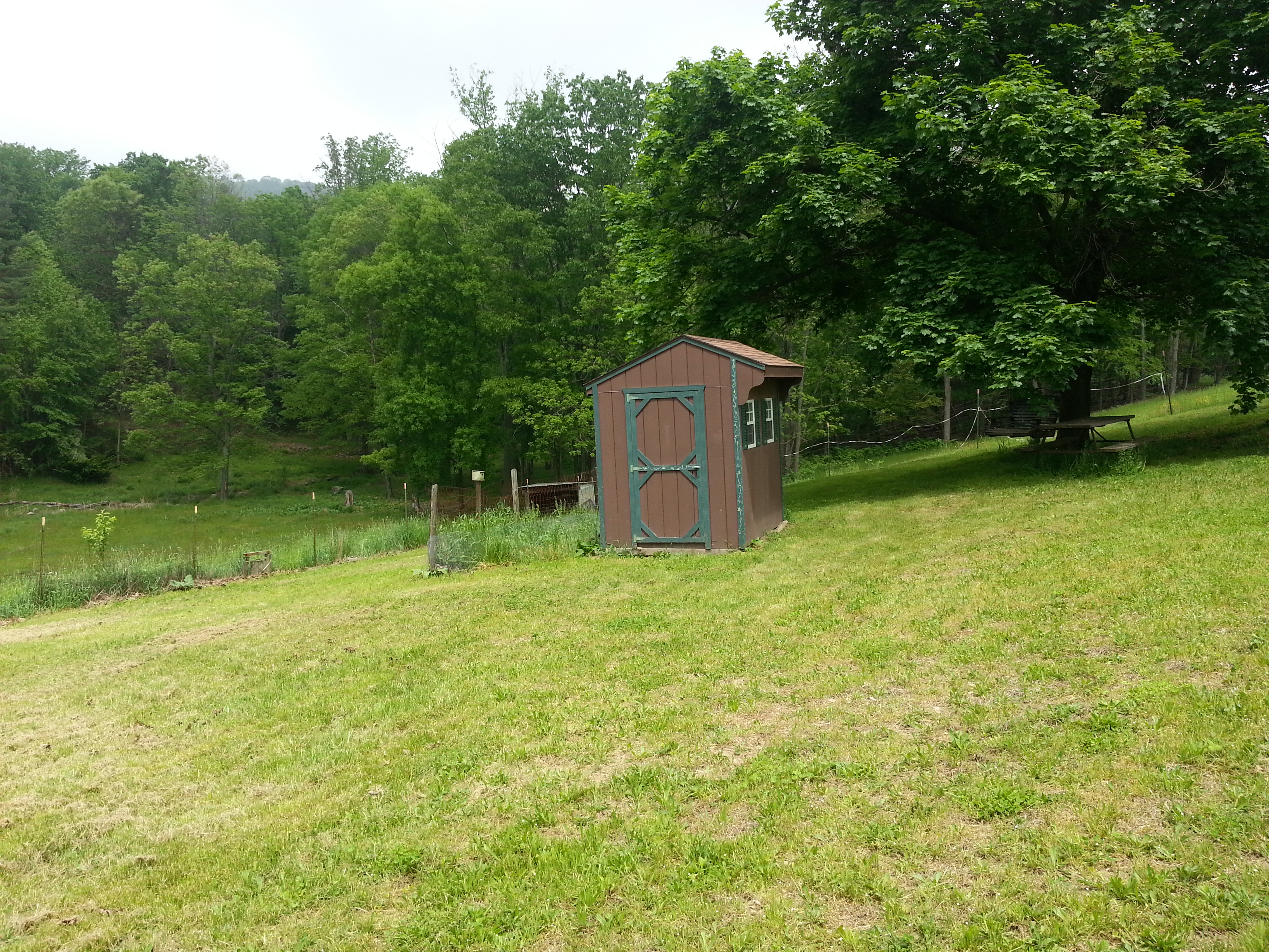 Chicken coop that needs a larger fenced in area!