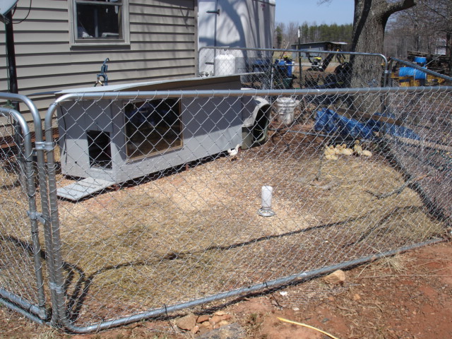 Chicken / Duck coop....actually a condo for them, plate glass window, internal light and heater, roosts, nesting boxes, roof opens in 2 pieces (oneside for nesting boxes and other to cleanout window/roost area