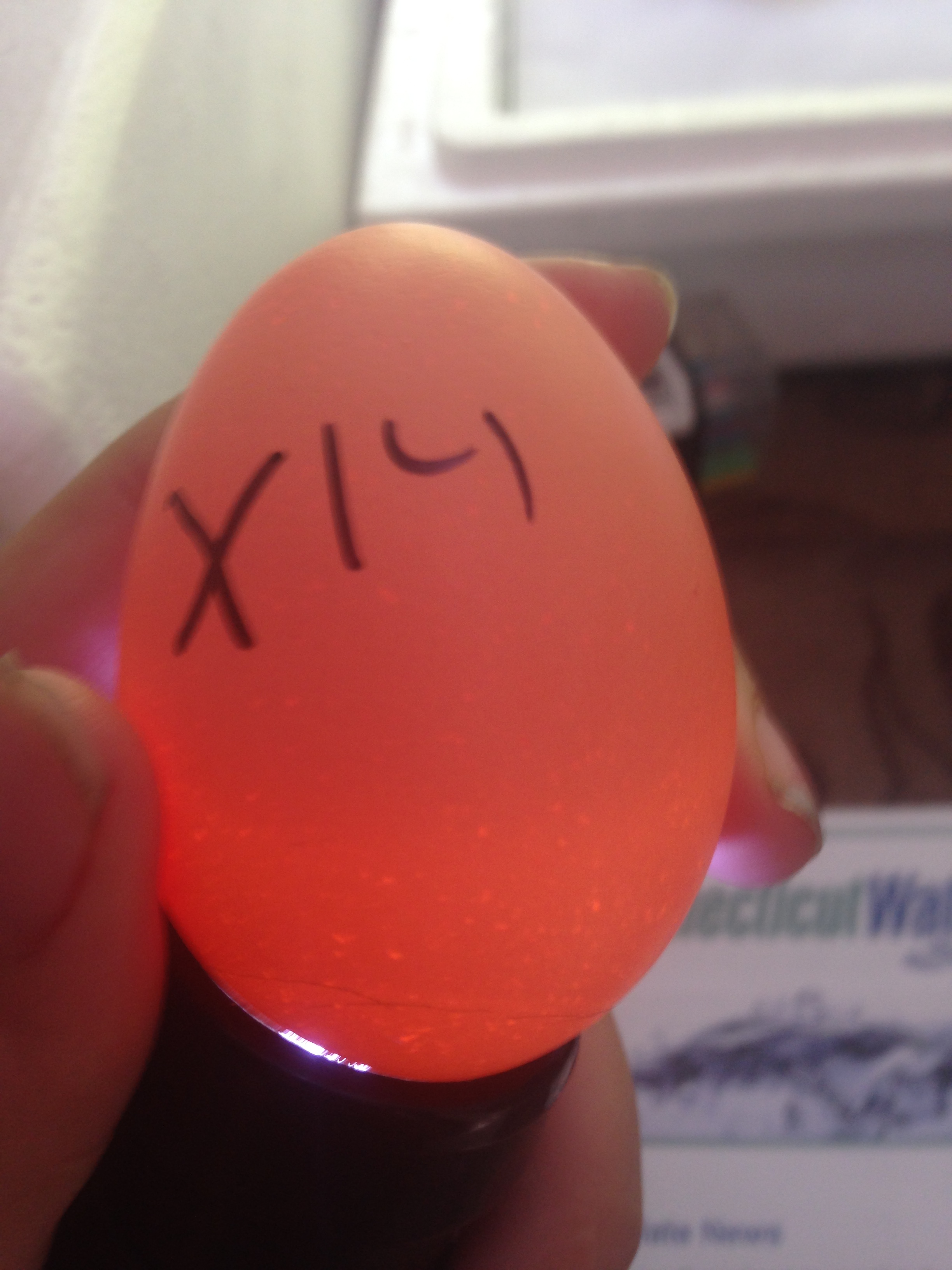Egg 13 on day ~15