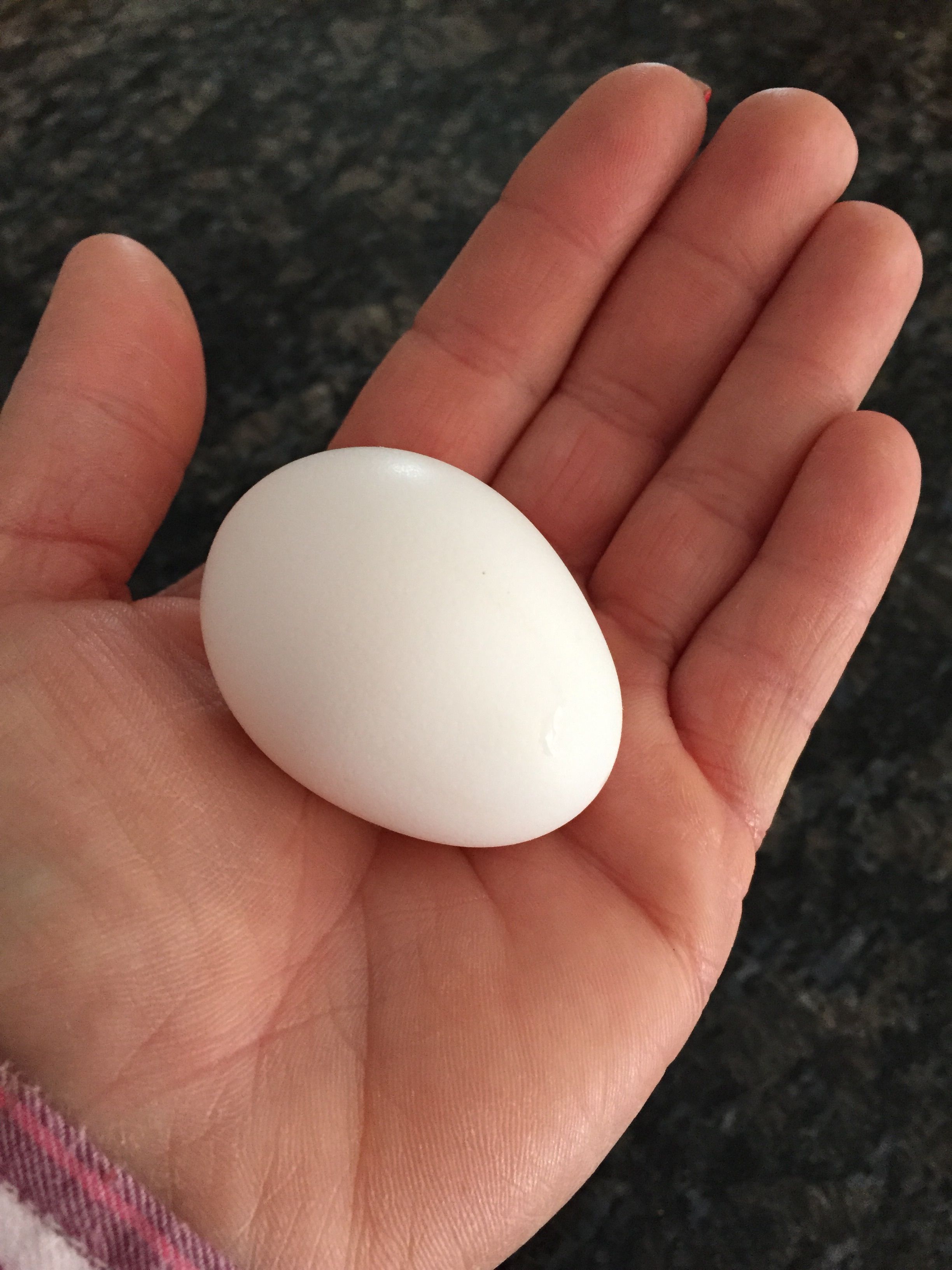 First egg from Betty. Yay!