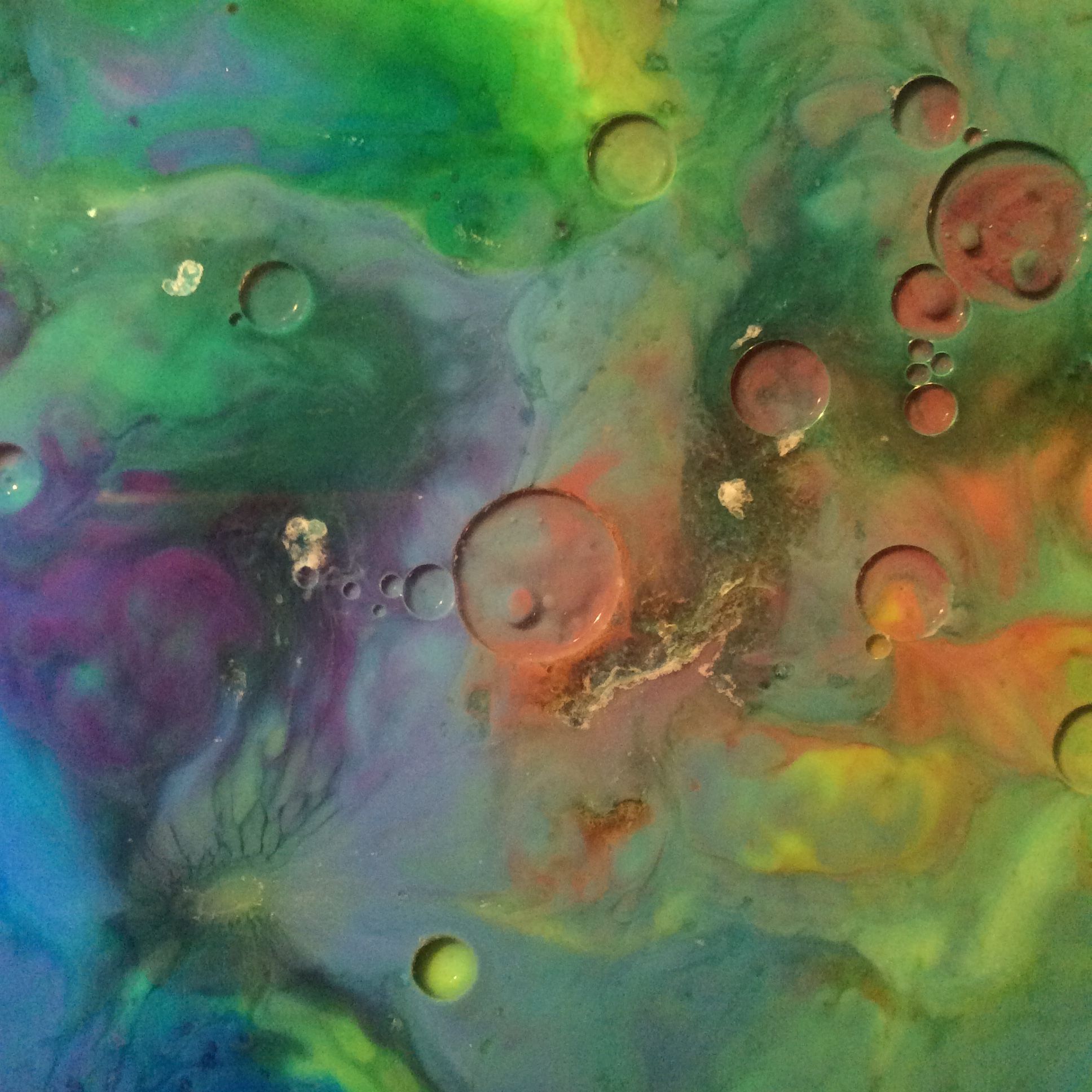 Food coloring in milk with drops of oil (: