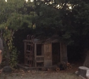 Here is our original "coop" aka playhouse.  It took a lot of TLC, but it turned out to be a perfect home for the hens.