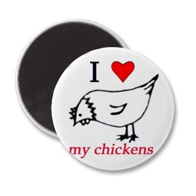 I love my chickens