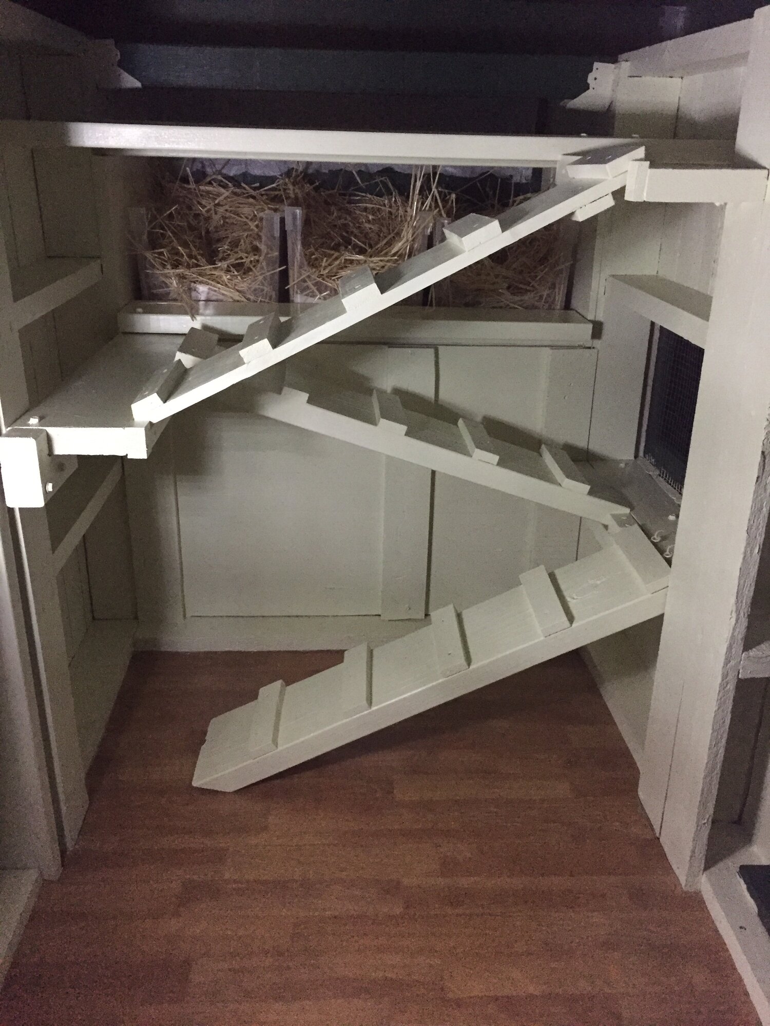 Inside - stairs to laying boxes and perches