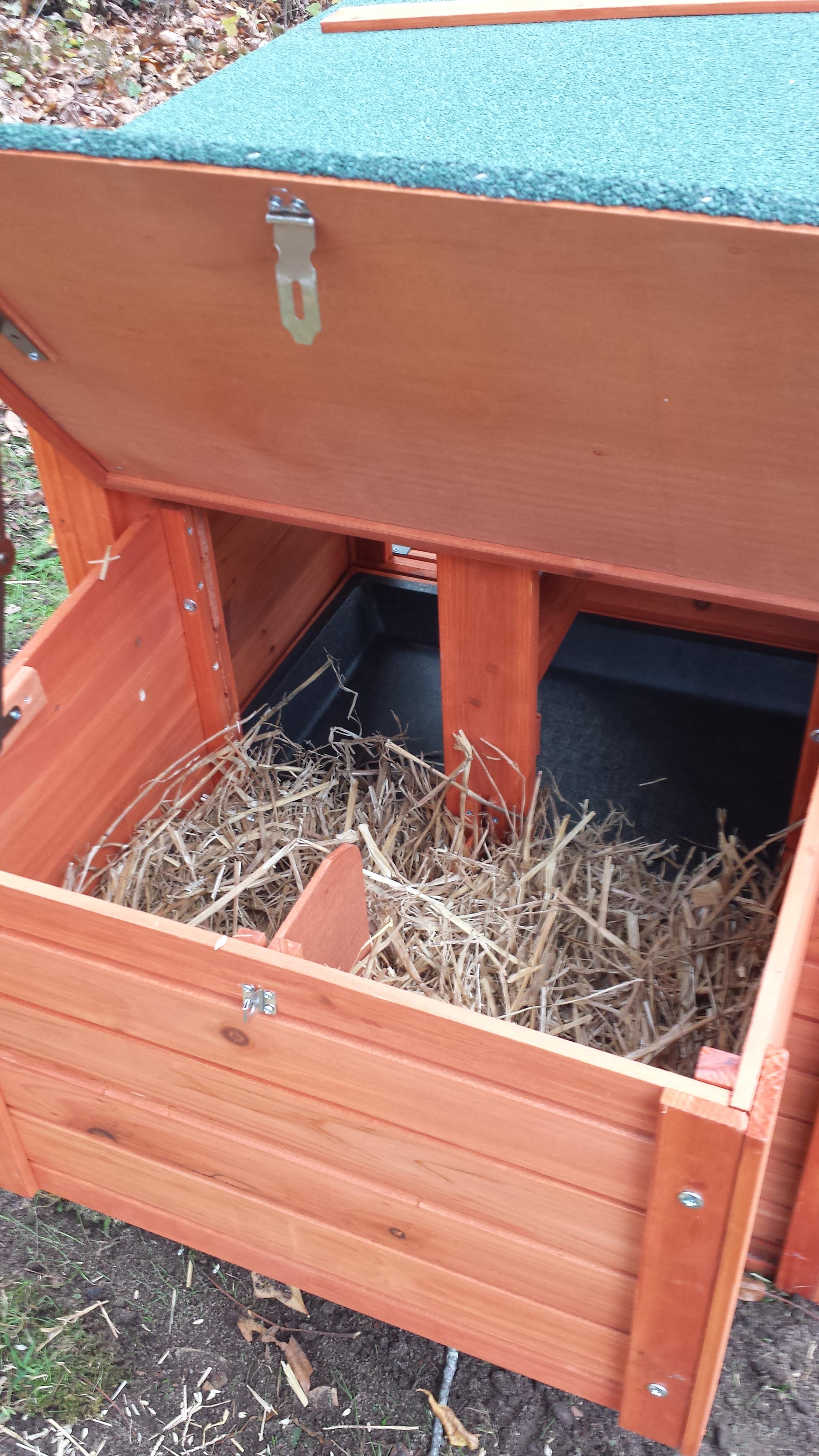 Inside the nest box...