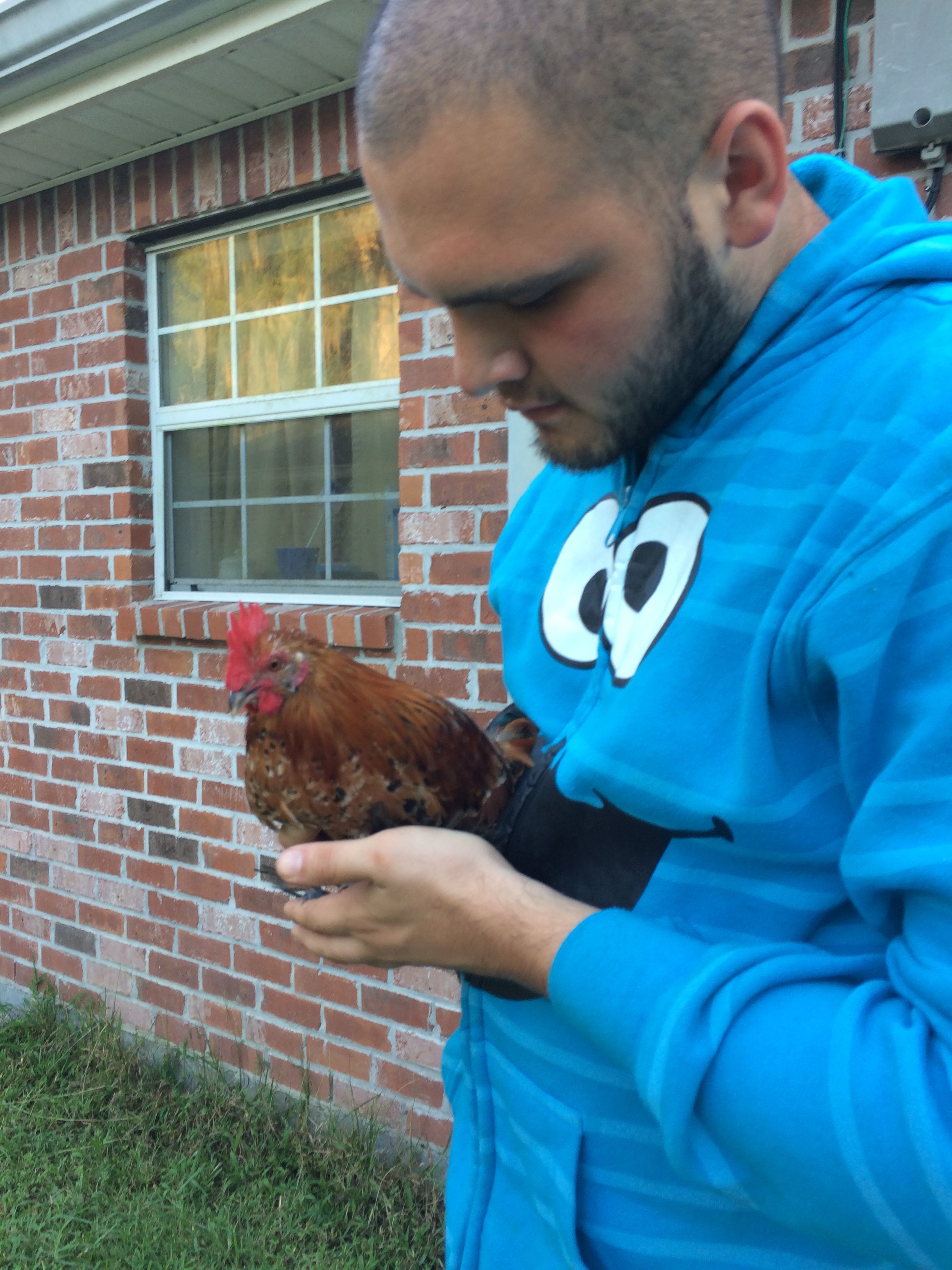 Jerry the chicken whisperer!
