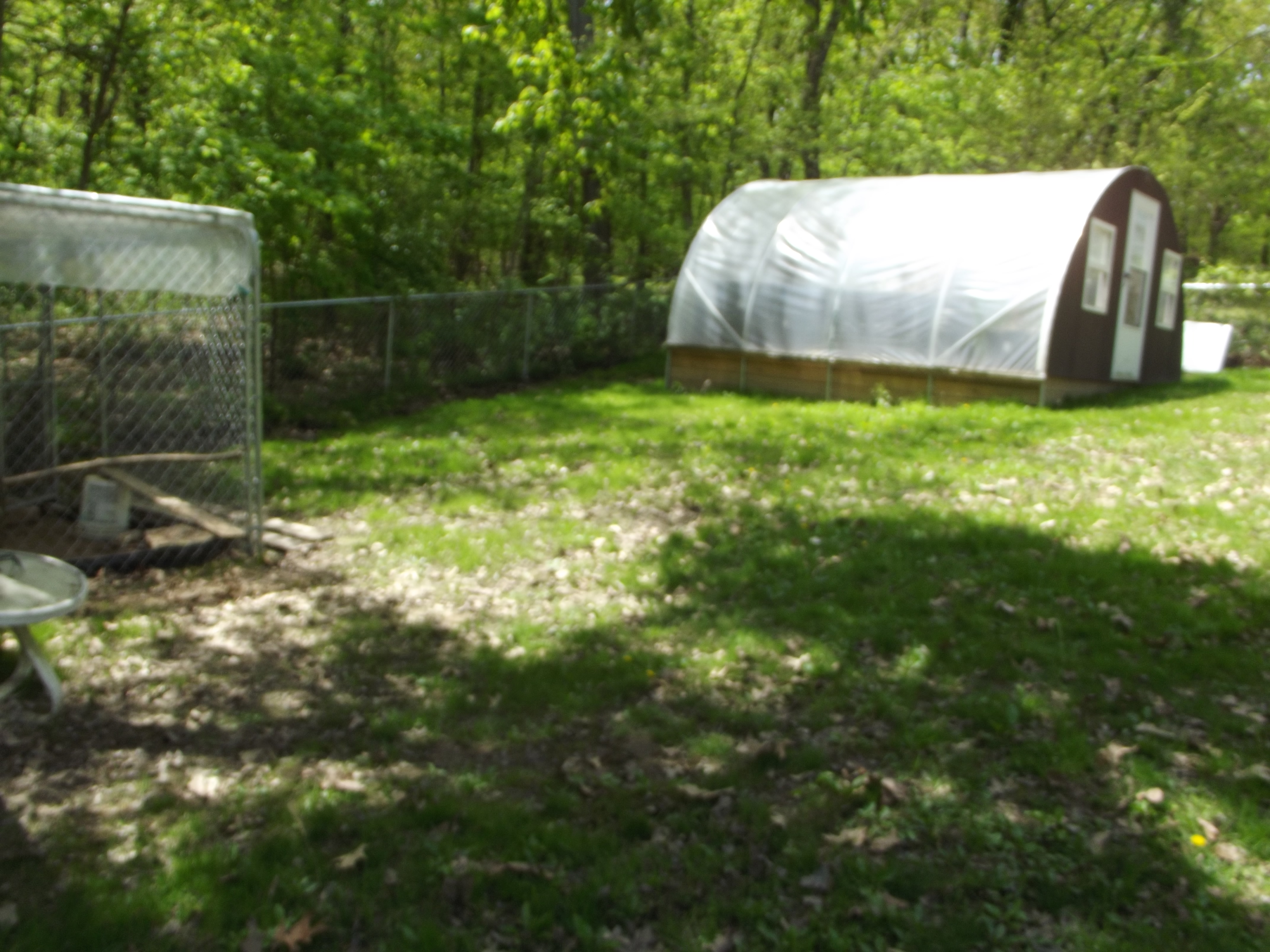 left is the coop run, which is inside of fenced are where they can free range. i love it and so do they.