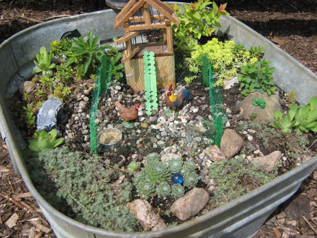 Look closely, it's a chicken coop mini-garden!