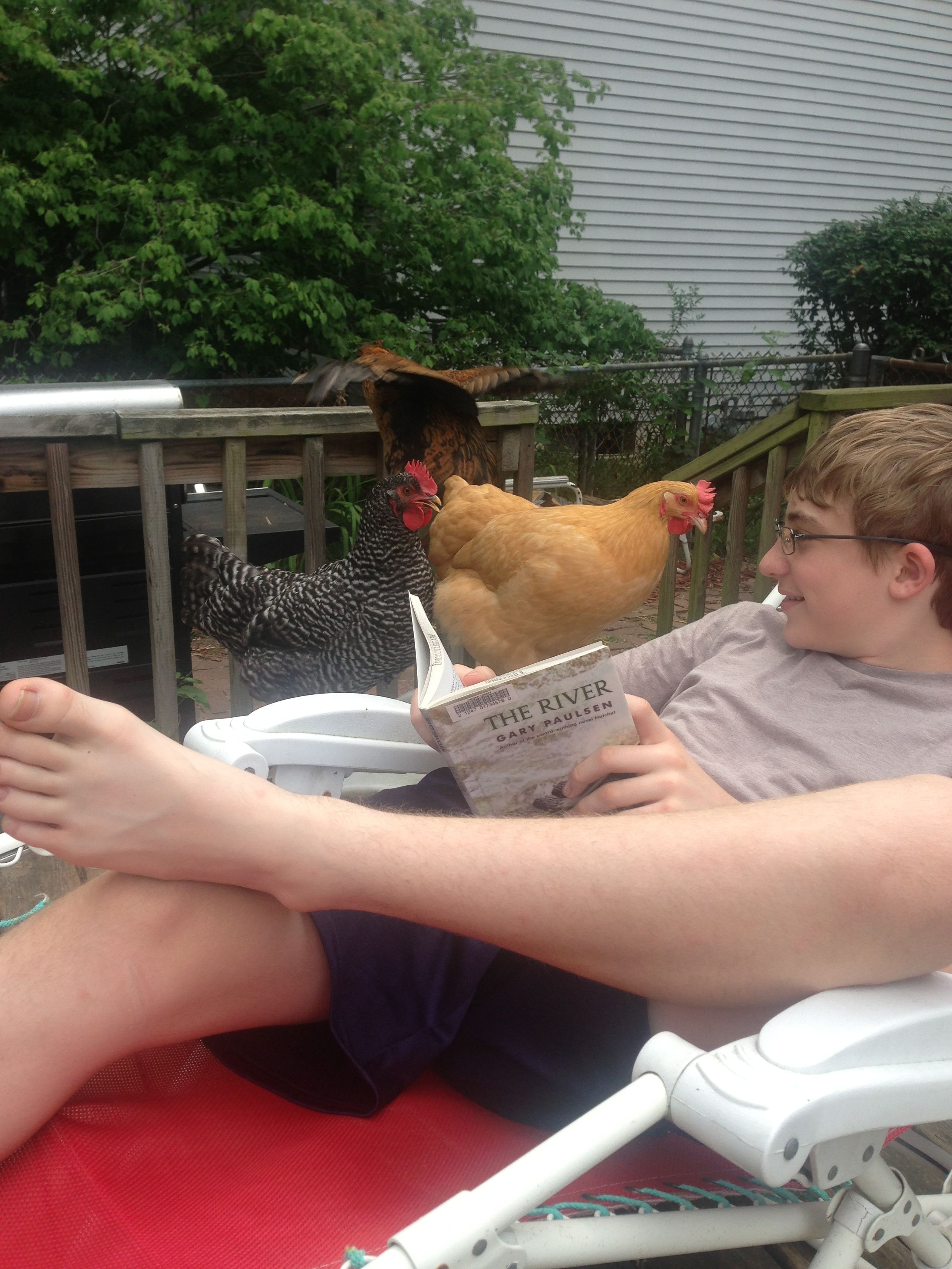 My 13 year old son reading to his "chicks" as he calls them.