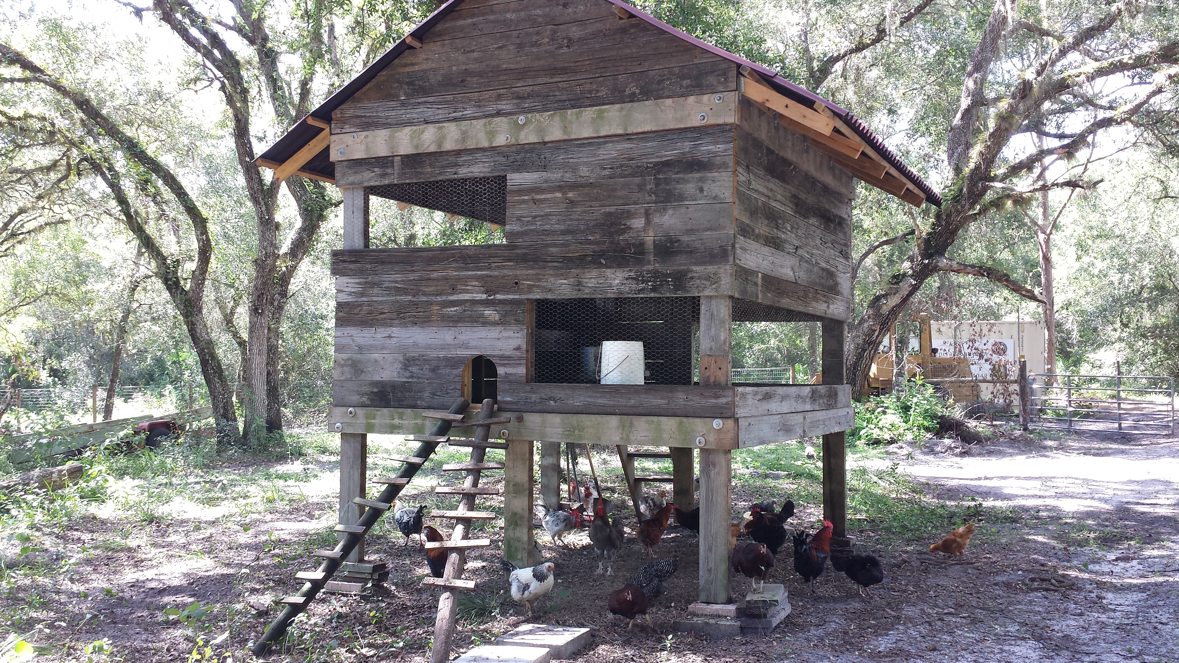My Chicken Coop built from reclaimed wood. It took about 3 months to build and features a Brinsea automatic door opener, gravity feeders and about 2 dozen nesting boxes.