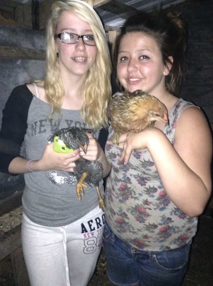 My daughter on Right and  Parrot I think shes supposed to be an easter egg layer. And her Best friend holding the Phineas