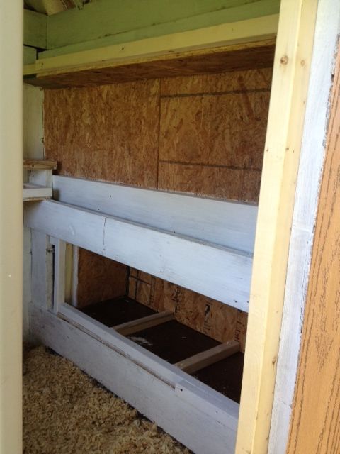 Nesting boxes.  They now have dividers and a curtain covering it.