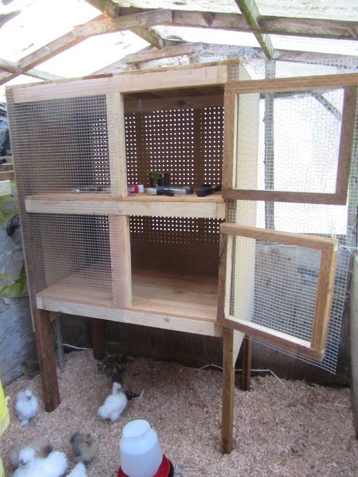 New chick cabinet for the old chick house. Useful for brooding silkie chicks. Needs to be wired now.